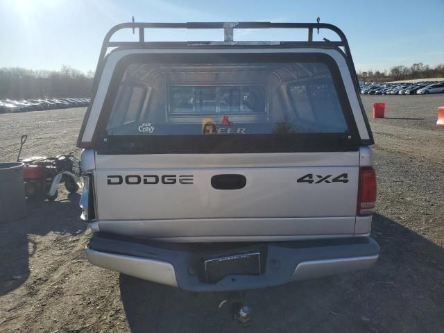 2001 Dodge Dakota Quattro