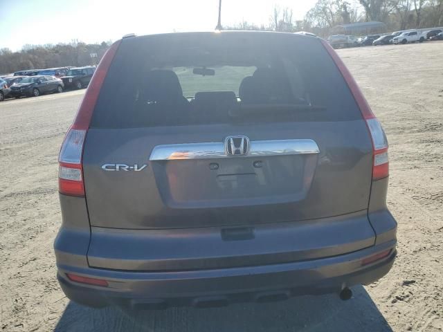 2010 Honda CR-V EX