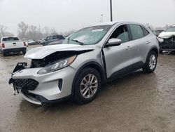 Salvage cars for sale at Fort Wayne, IN auction: 2020 Ford Escape SE