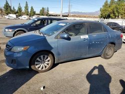 Toyota Vehiculos salvage en venta: 2013 Toyota Corolla Base