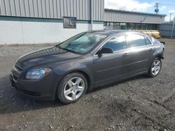 Chevrolet Vehiculos salvage en venta: 2012 Chevrolet Malibu LS