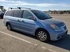 2008 Honda Odyssey EXL