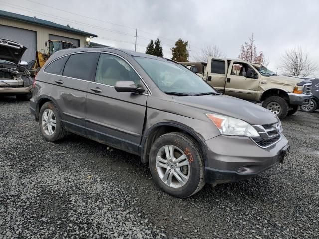 2010 Honda CR-V EXL