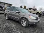 2010 Honda CR-V EXL