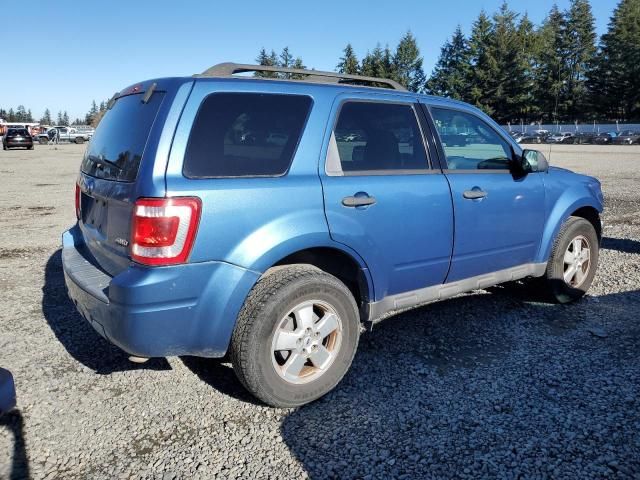 2009 Ford Escape XLT