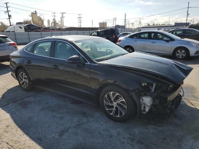 2021 Hyundai Sonata Hybrid