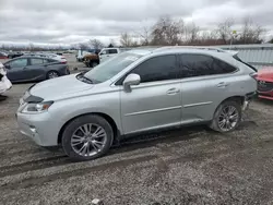 Lexus salvage cars for sale: 2013 Lexus RX 450H