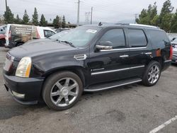 Cadillac Escalade salvage cars for sale: 2007 Cadillac Escalade Luxury