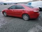 2009 Toyota Camry Hybrid