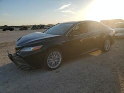 Salvage cars for sale at San Antonio, TX auction: 2020 Toyota Camry XLE