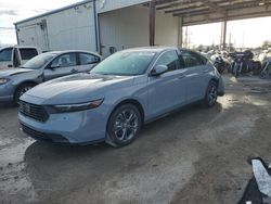 Honda salvage cars for sale: 2024 Honda Accord Hybrid EXL