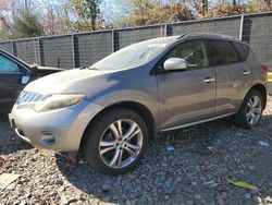 Salvage cars for sale from Copart Waldorf, MD: 2009 Nissan Murano S