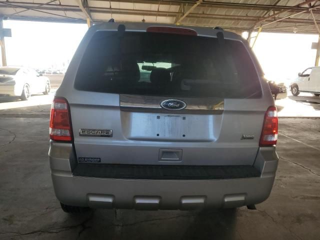 2010 Ford Escape Limited