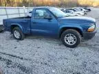 2003 Dodge Dakota SXT