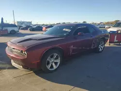 Dodge Vehiculos salvage en venta: 2017 Dodge Challenger SXT