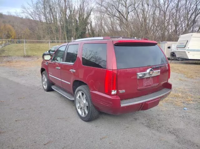 2011 Cadillac Escalade Luxury