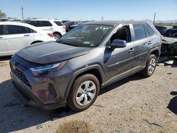 Salvage cars for sale at Tucson, AZ auction: 2024 Toyota Rav4 LE