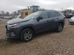 Toyota salvage cars for sale: 2024 Toyota Rav4 LE