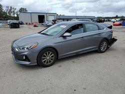 Salvage cars for sale at Gaston, SC auction: 2019 Hyundai Sonata SE