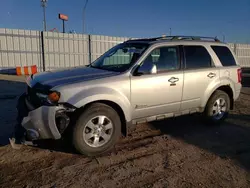 Ford Vehiculos salvage en venta: 2011 Ford Escape Hybrid