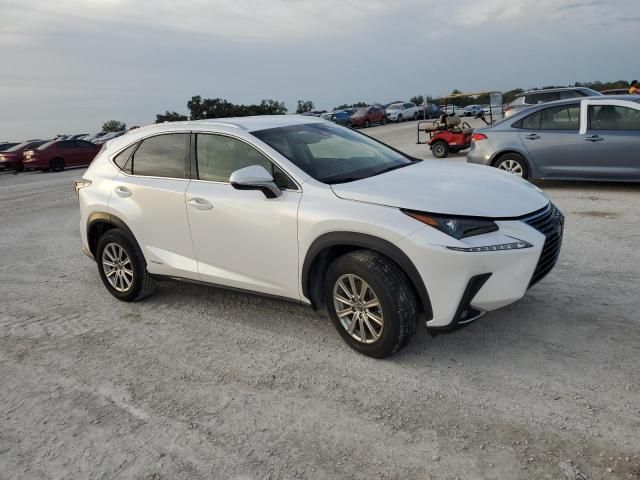 2019 Lexus NX 300H