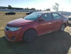 Toyota Vehiculos salvage en venta: 2013 Toyota Camry L