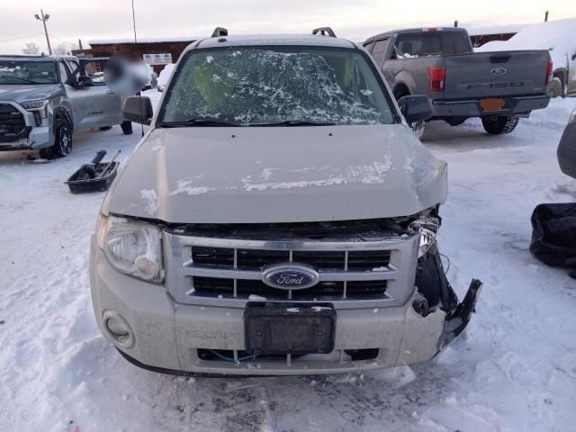 2009 Ford Escape XLT