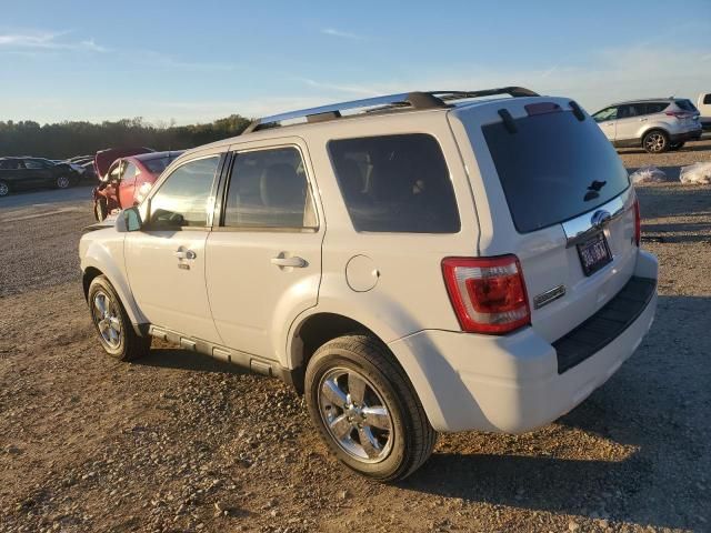 2012 Ford Escape Limited