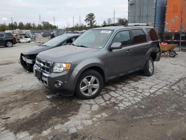 2010 Ford Escape Limited