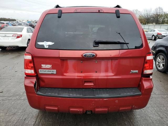 2011 Ford Escape XLT