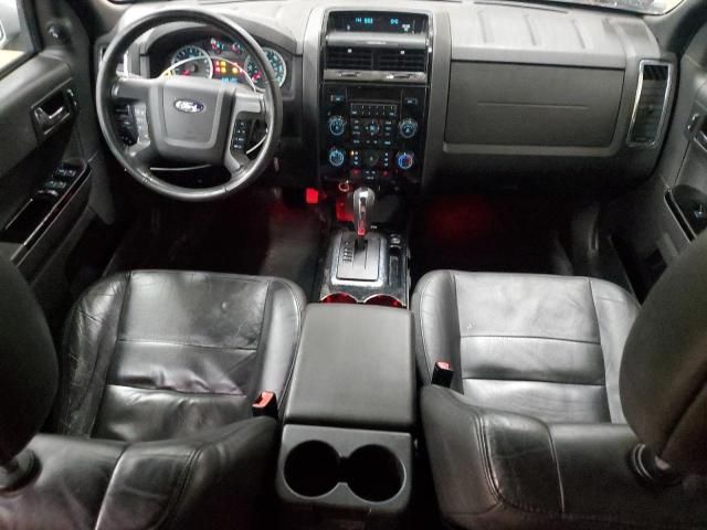 2010 Ford Escape Limited