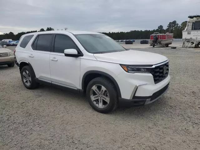 2023 Honda Pilot EXL