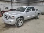 2011 Dodge Dakota SLT