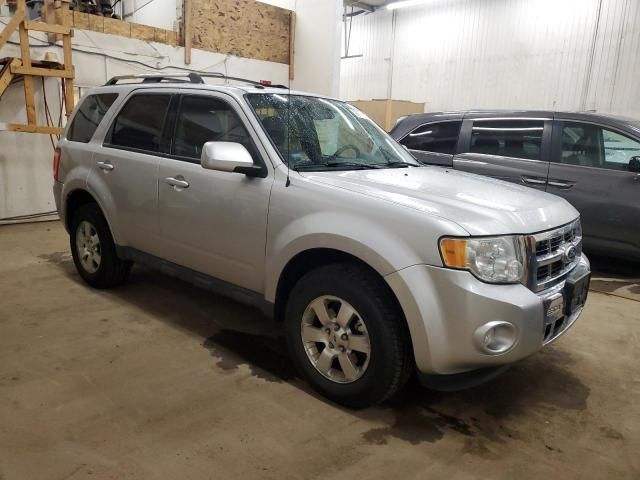 2010 Ford Escape Limited