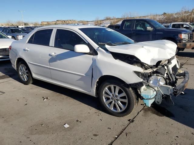 2010 Toyota Corolla Base