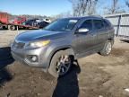 2011 KIA Sorento Base