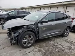 Ford Escape st salvage cars for sale: 2023 Ford Escape ST Line