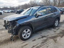 Salvage cars for sale at auction: 2020 Toyota Rav4 XLE