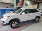 2011 KIA Sorento Base