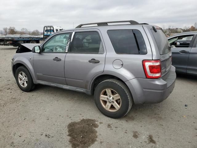 2008 Ford Escape HEV