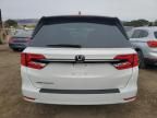 2024 Honda Odyssey EXL