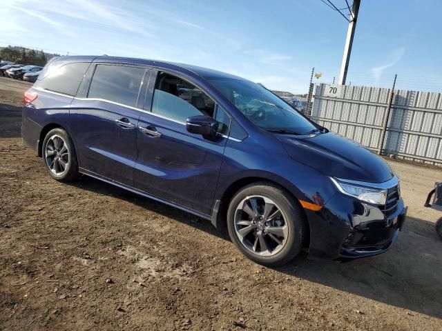 2023 Honda Odyssey Elite