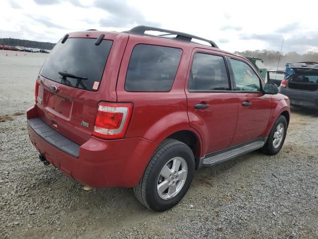 2010 Ford Escape XLT