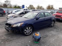 Salvage cars for sale at Walton, KY auction: 2009 Honda Accord EXL