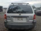 2007 Ford Escape XLT