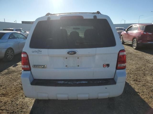 2009 Ford Escape XLT