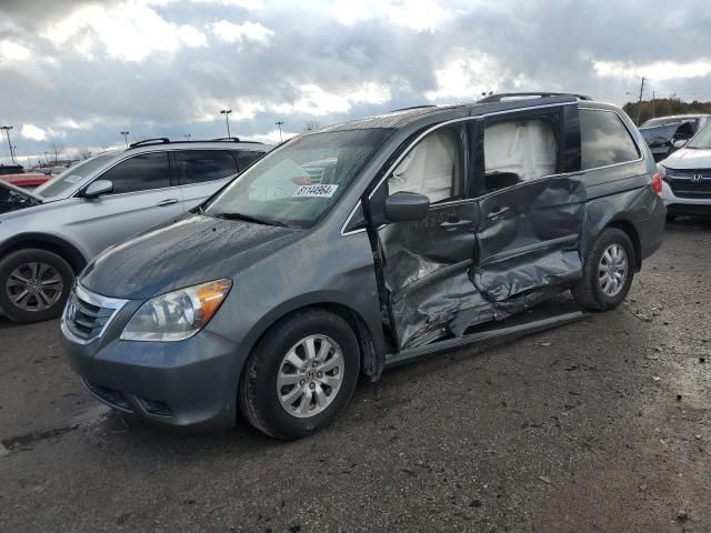 2008 Honda Odyssey EXL