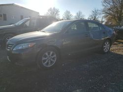 Toyota Vehiculos salvage en venta: 2011 Toyota Camry Base