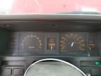 1986 Nissan D21 Short BED