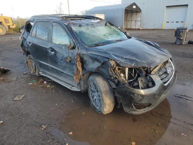 2010 Hyundai Santa FE SE